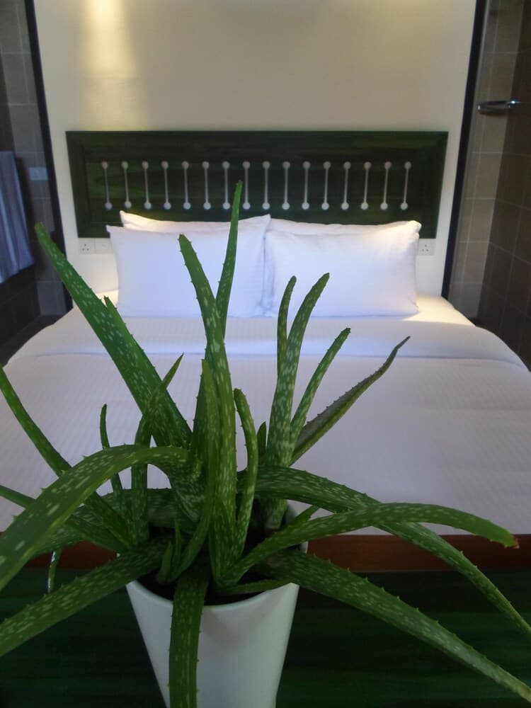 Sennya Resorts