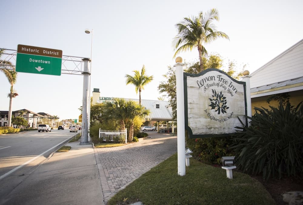 Lemon Tree Inn