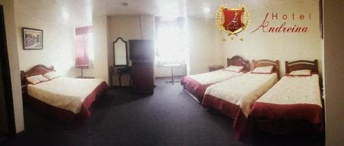 Hotel Andreina