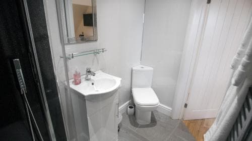 A cozy, modern bathroom with a sleek shower, white sink, toilet, and wooden flooring exudes cleanliness and comfort, ideal for travelers seeking a refreshing stay.