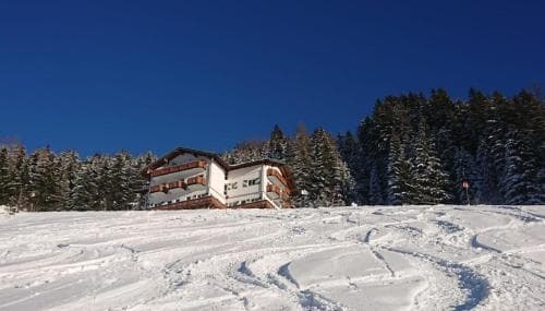 Der Hahnbaum
