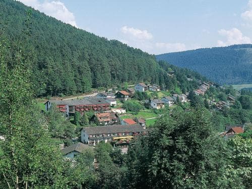 A serene mountain village nestled among lush green forests offers a tranquil retreat, ideal for travelers seeking relaxation and scenic beauty.