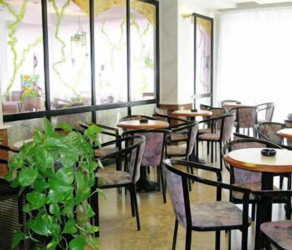 A cozy café with wooden tables, patterned chairs, lush green plants, and large windows offering natural light creates an inviting atmosphere perfect for travelers seeking a relaxing spot to unwind or work.