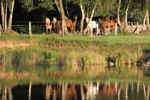 Kur- & Landhotel Borstel-Treff