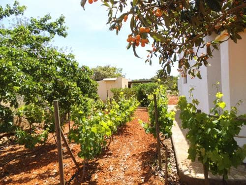 Villa Can Turrent