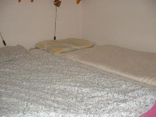 Artificial Hostel