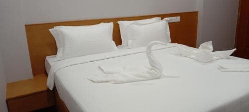 Moshis Nest