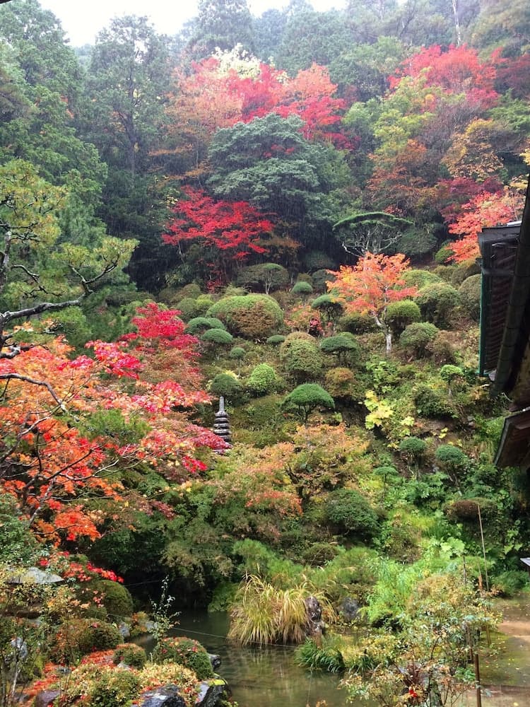 Henjokoin