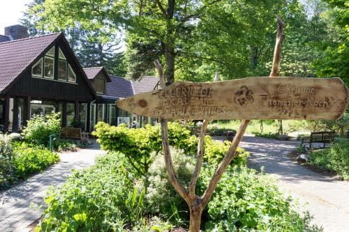 A serene garden path lined with lush greenery leads to cozy cabins, featuring a rustic wooden signpost, ideal for eco-friendly retreats and nature lovers seeking tranquility.