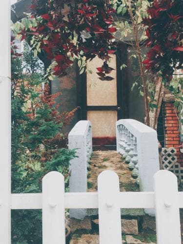 A serene garden entrance framed by a white picket fence, lush greenery, and vibrant red leaves creates an inviting atmosphere perfect for a tranquil getaway or nature-inspired photography.