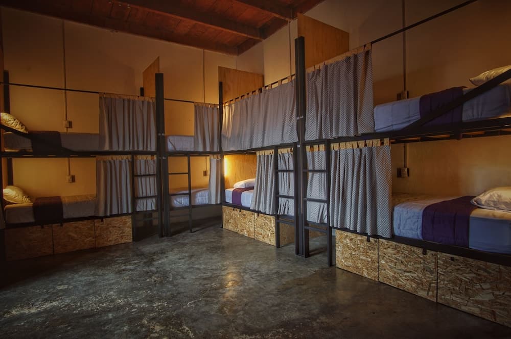 Lemon Tree Hostel