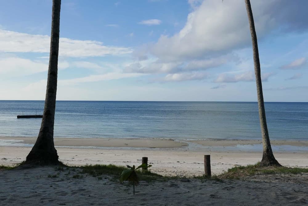 Afro Beach Bungalows