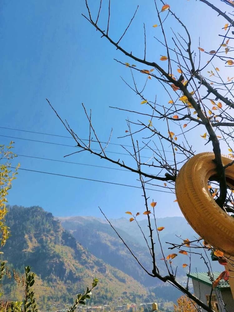 Manali Heart Villa