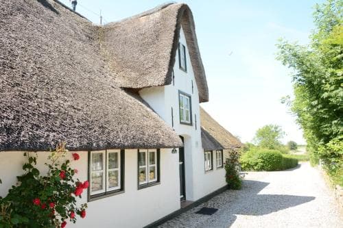 Föhrienhaus