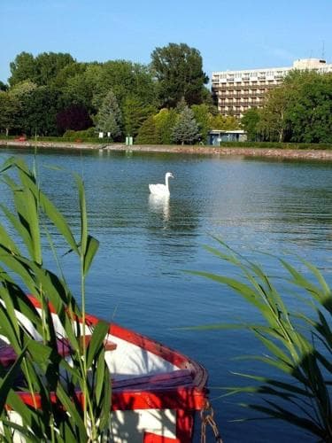 Riviera Park Hotel