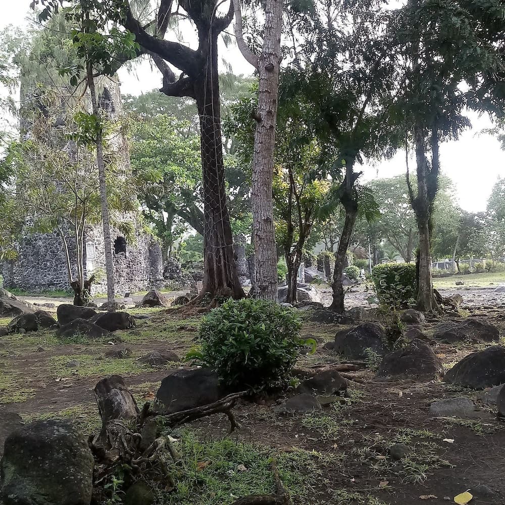 Mayon Lodging House