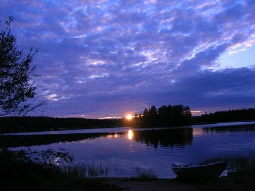 Lomakoivulehto