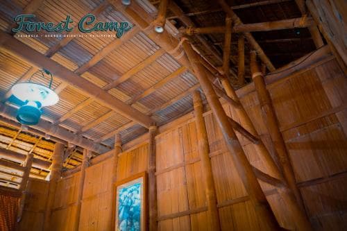 Forest Camp Resort