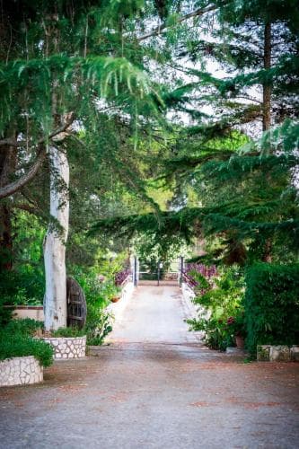 Bed & Breakfast Mandorla Amara