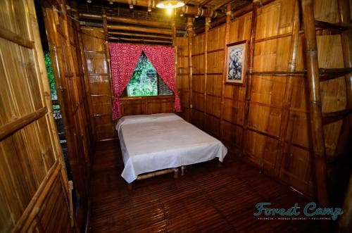 Forest Camp Resort