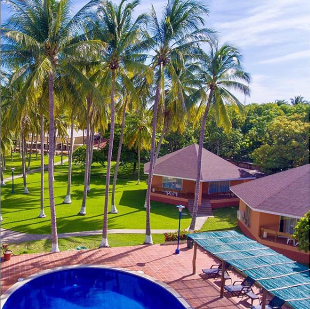 Pacific Paradise