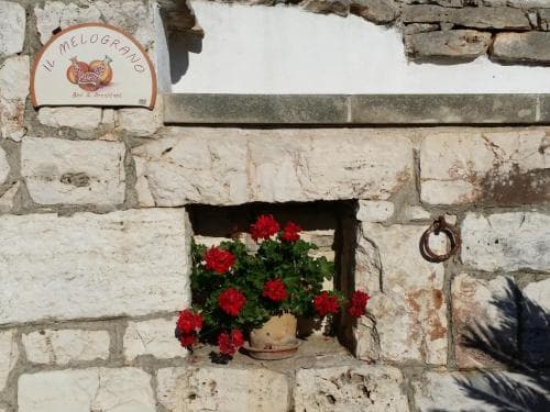 Il Melograno
