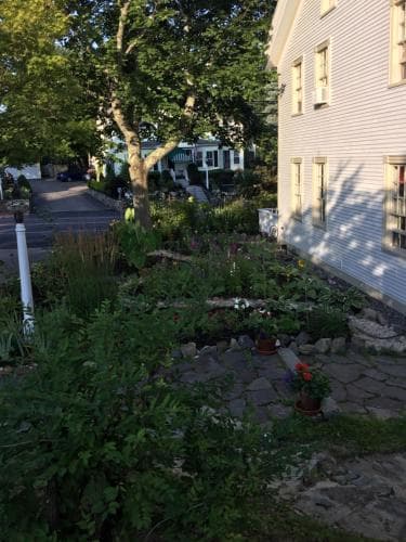 Black Boar Inn Ogunquit