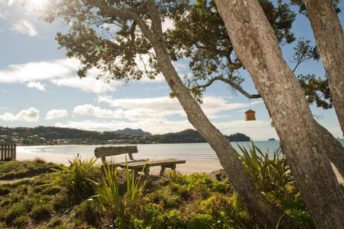 Beachfront Resort