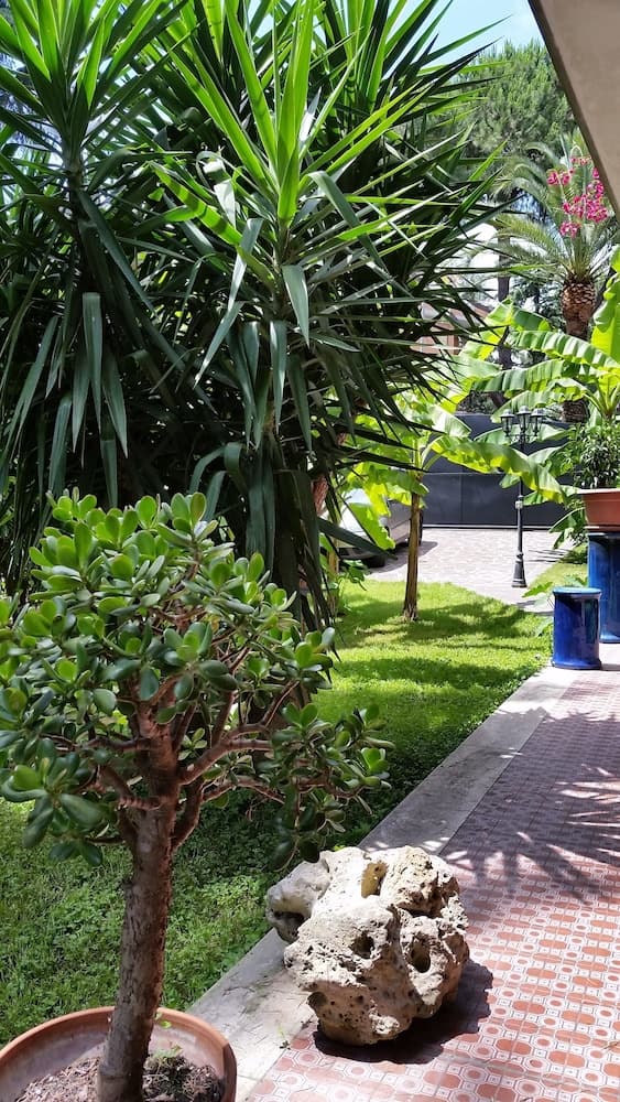 Il Giardino di Giulia 2