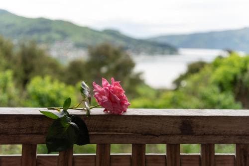 Akaroa Cottages