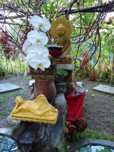 bucu hidden guest house, and meditation center