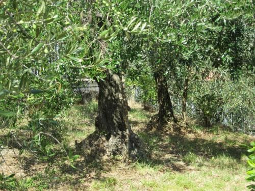 B&B Mare E Monti