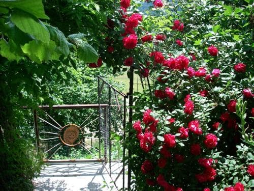 Dream B&B