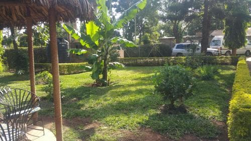 Mama Simba Bed & Breakfast Moshi