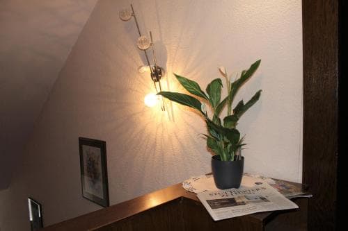 Hotel Linde
