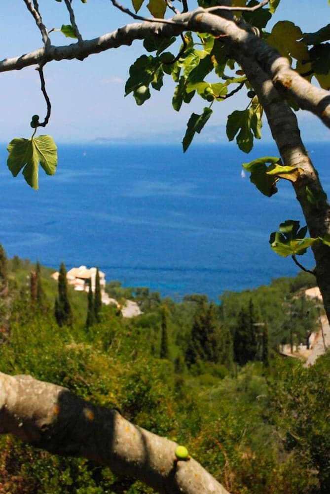 Angela Studios Paxos