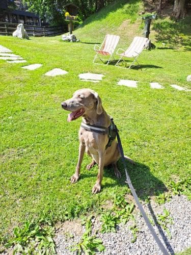 St. Hubertus