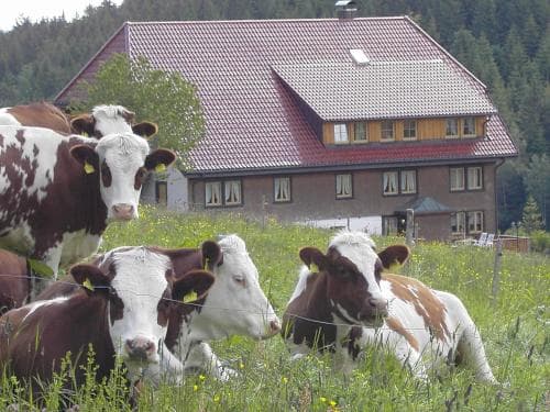 Haus am Berg