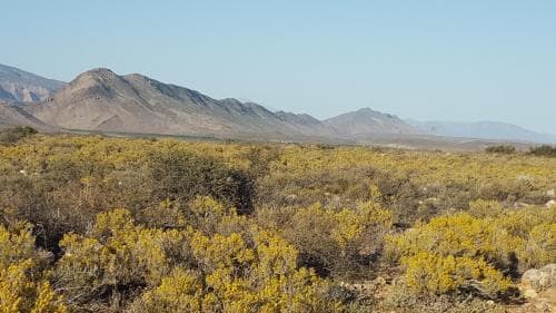 Karoo Robin B & B