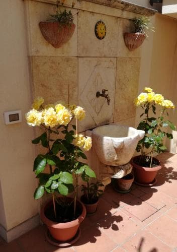 B&B Del Corso