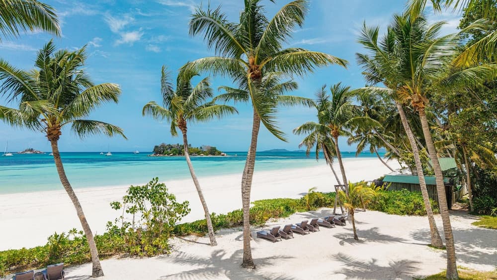 Paradise Sun