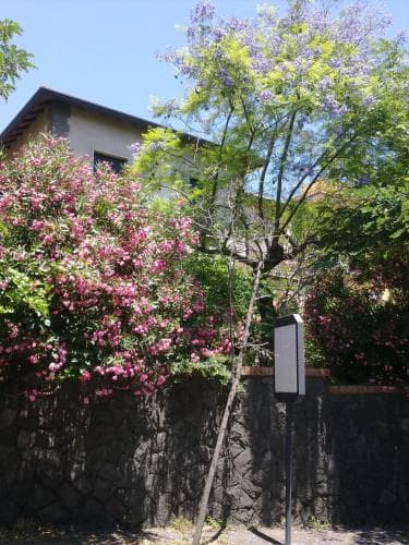 B&B Casa Demarata