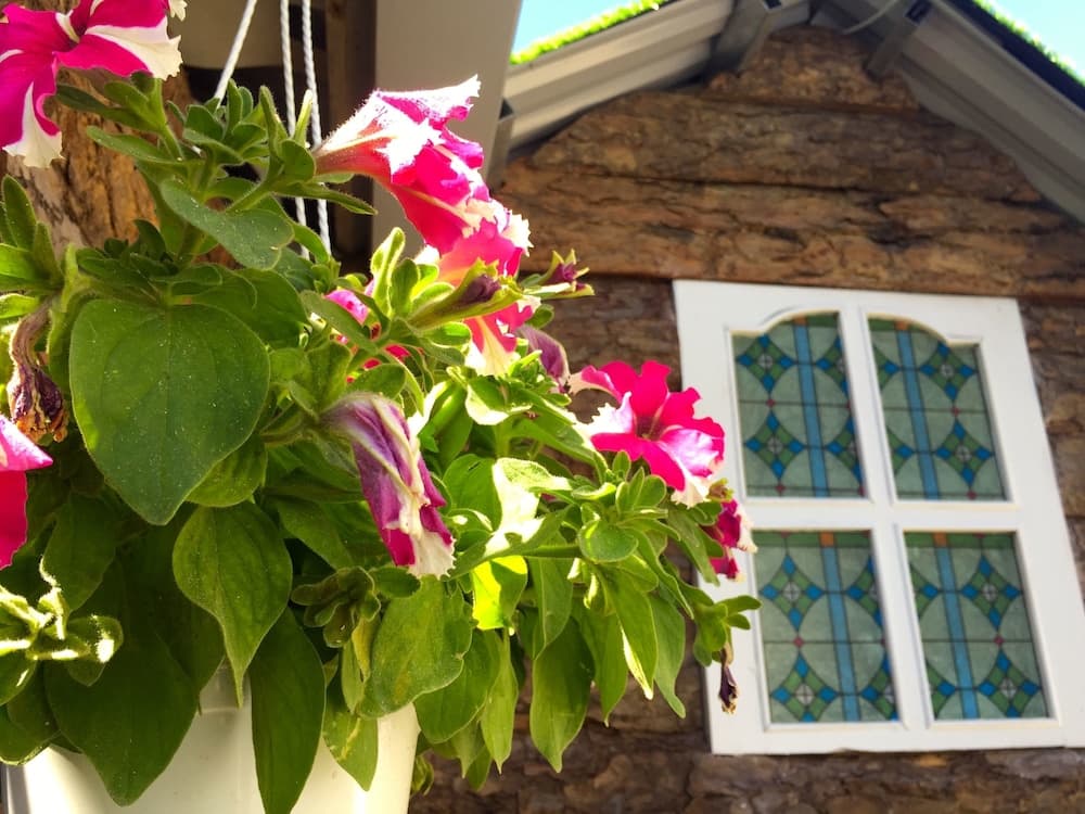 Ribes House
