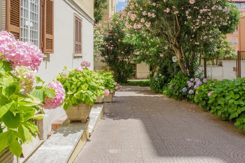 A serene residential pathway lined with vibrant pink hydrangeas and lush greenery invites travelers to explore its tranquil charm, perfect for a leisurely stroll or a picturesque photo opportunity.