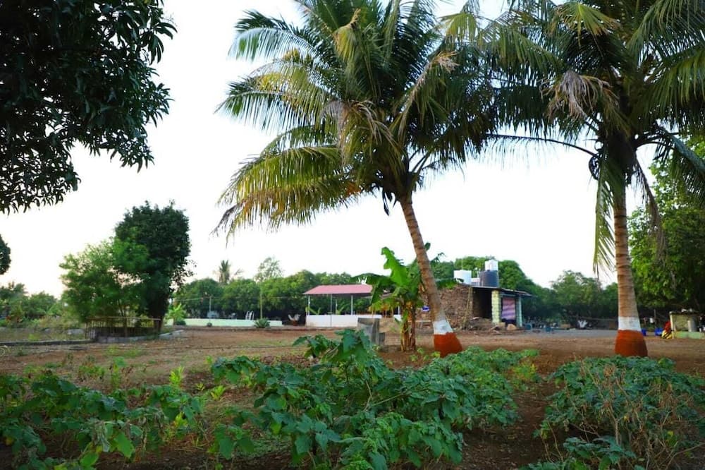 Radhe Farm (200mtr from Devaliya Park)