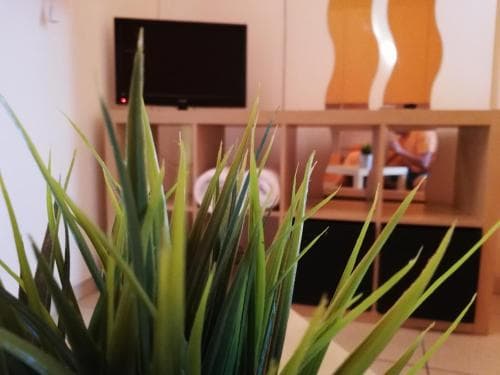 A cozy living room with a vibrant green plant in the foreground, a sleek TV on a modern wooden shelf, and warm lighting creates an inviting atmosphere perfect for a relaxing staycation.