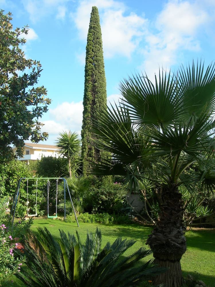 A serene garden scene featuring lush palm trees, a towering cypress, vibrant greenery, and a swing set under a bright blue sky, ideal for family vacations seeking relaxation in a tropical or subtropical setting.