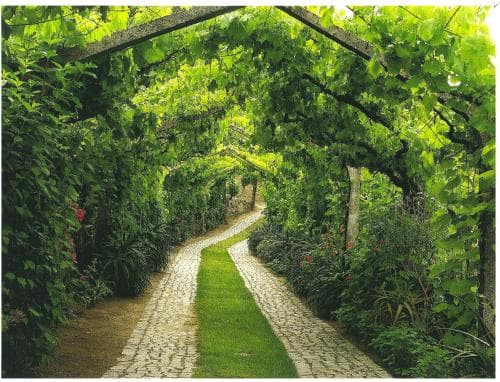 ArsDurium Douro hotel