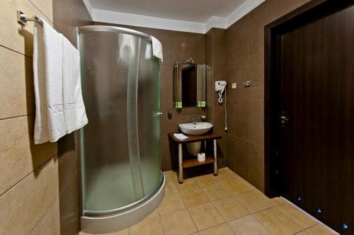 Hotel Borowina