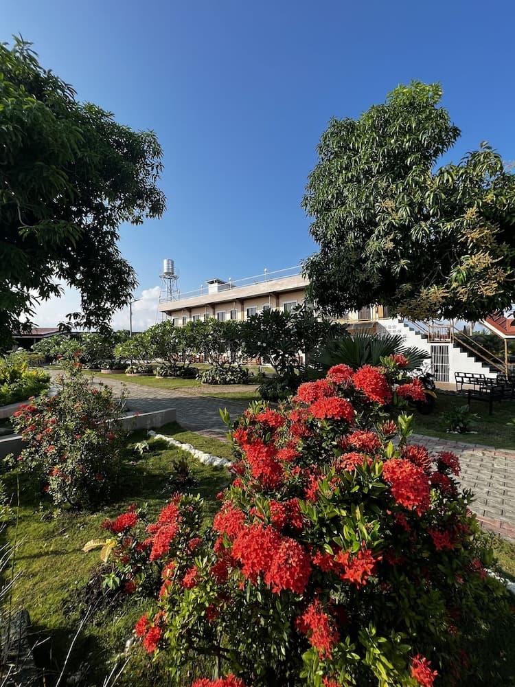 La Plumerias
